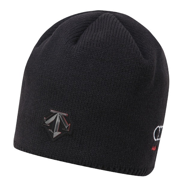 SPAIN SNOW UNFOLD BEANIE  中性 毛帽